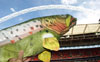 Harry Haddock at Wembley